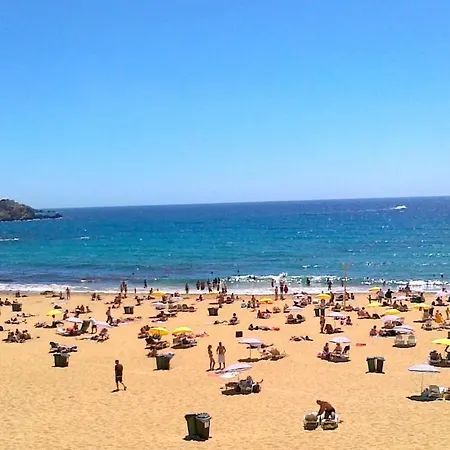 Contemporary 3br Retreat In Prime