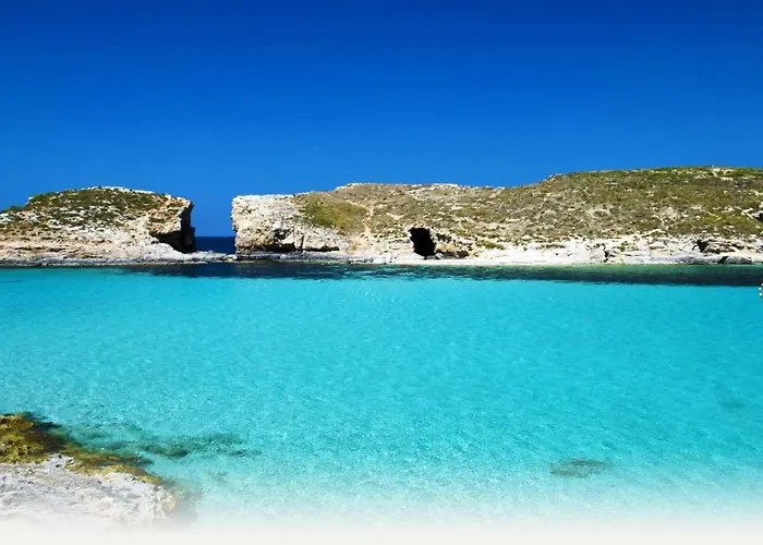 Contemporary 3br Retreat In Prime *