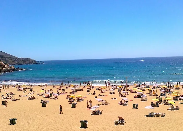 Contemporary 3br Retreat In Prime